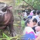 하마농장 이미지