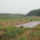 초지농장 이미지