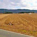 양덕2농장 이미지