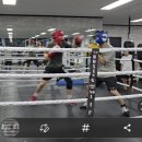 판교더복싱 이미지