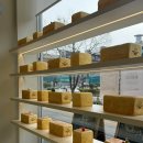 주정차 단속 - 143 이미지