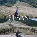 울산어울길제1구간 | 울산 간월재 억새 단풍시기에 가야하는 영남알프스 주차장