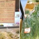 풍성농원 이미지