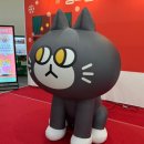 [남부] 라인댄스 B(2025) | 궁디팡팡 캣페스타 후기, 서울 궁팡 캣페어 펫 박람회 다녀옴 !