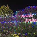 가고파플라워 이미지