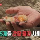 제주초밥 이미지