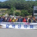달맥 Daum카페