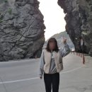 갈매경로식당 | 나혼자 울릉도 여행 | #3 렌트카로 울릉도 한 바퀴