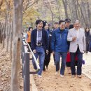 숲길발길 이미지