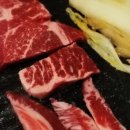 정육도토리