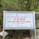 산방환담 이미지