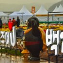 웅진동 자치센터 이미지