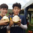 코코넛제주 이미지