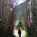 새미목욕탕 이미지