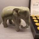 코끼리한의원 이미지