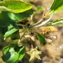 서리축산 이미지