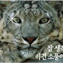 다문화 탐험대 이미지