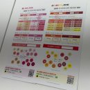 강남 퍼스널컬러셀프진단 후기: 이미지호 가로수길점🏳‍🌈