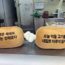 소많이먹어도돼지 이미지