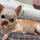 수락 동물병원 이미지