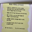 플라꽃집 | 안산 졸업식 꽃다발 추천! 중앙동 꽃집 <플라웜> 45,000원 꽃다발 후기
