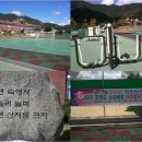 청일초등학교 이미지