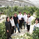 경제농장 이미지