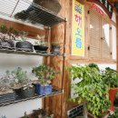 해오름펜션민박 이미지