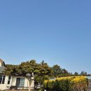 행복충전펜션 | 제주펜션, 겨울 동백꽃 가득한 힐링 여행 숙소!! 제주미도펜션