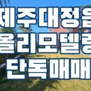 센텀제주영어교육도시공인중개사사무소 이미지