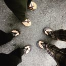 삼앤코