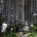 다판다 아이스 이미지