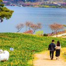 저수지목장 이미지