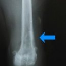 위니펫동물병원 이미지