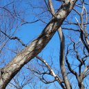 석계2리 이미지