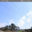 조수리엔 이미지