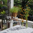 소풍정원 배화장실 | 서울 근교 양평 두물머리 근처 카페 - 넓은 정원이 있는 애견동반 카페 소풍