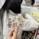 담솜 이미지
