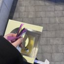 케이크인더샵