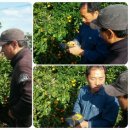 부신농장 이미지