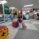 꽃뿐이네 이미지