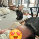 참사랑 | 전주 참사랑어머니회 이용후기 / 수면교육