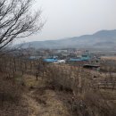 백신1리 이미지