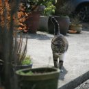 나그네식당 이미지