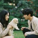 생활미용 중급 | 반려동물 자격증 TOP5 🐾 어떤 순서로 따야 할까? 취업·창업용 정리