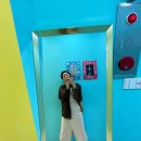 올레소프트 이미지