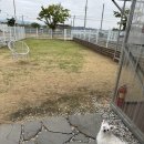 낄낄아놀자 이미지