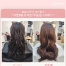 제이와이하우스 이미지