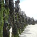 바다의도시 이미지