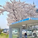 지에스25 평택오성점 이미지